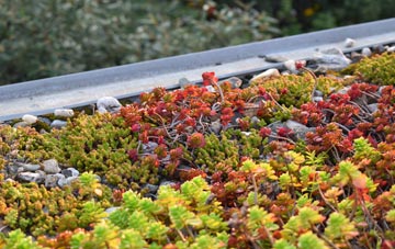 the cost of Reedness green roof installation