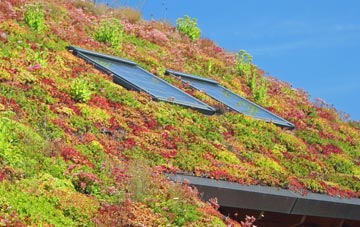 Reedness living roof systems