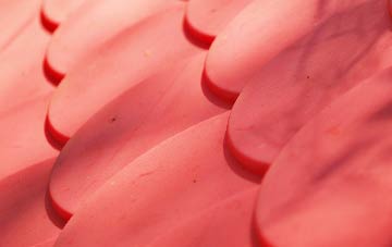 Reedness plastic roof costs