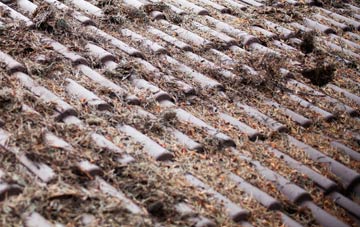 Reedness roof cleaning companies